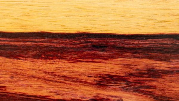 Bois rouge exotique : entre beauté, résistance et bon sens du chantier